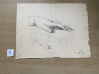 3171.jpg